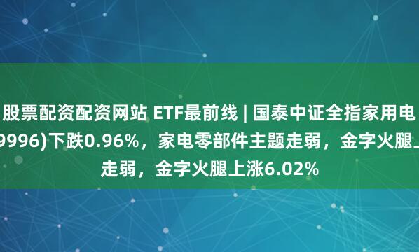 股票配资配资网站 ETF最前线 | 国泰中证全指家用电器ETF(159996)下跌0.96%，家电零部件主题走弱，金字火腿上涨6.02%