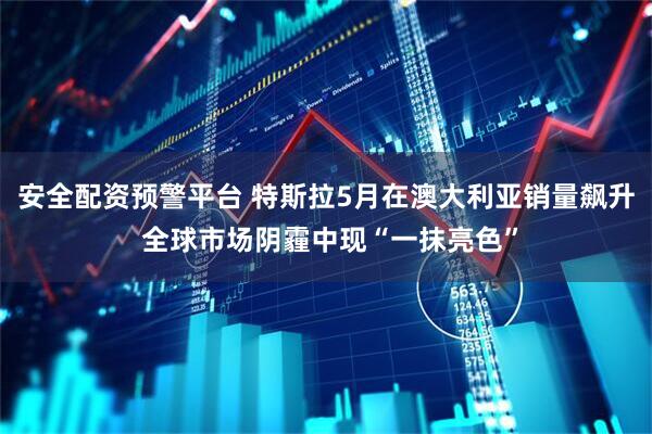 安全配资预警平台 特斯拉5月在澳大利亚销量飙升 全球市场阴霾中现“一抹亮色”