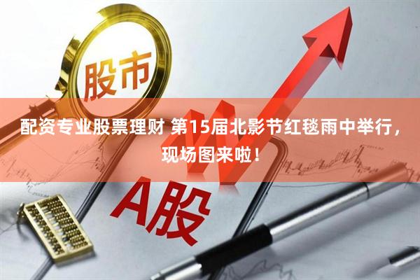 配资专业股票理财 第15届北影节红毯雨中举行，现场图来啦！