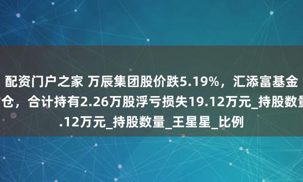 配资门户之家 万辰集团股价跌5.19%，汇添富基金旗下2只基金重仓，合计持有2.26万股浮亏损失19.12万元_持股数量_王星星_比例